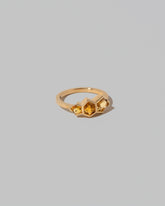 View from the side of the Cattleya Ring on light color background.
