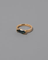 View from the side of the Founding Ring on light color background.