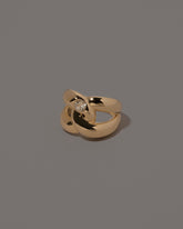 View from the side of the One Ring on grey color background.