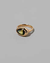 View from the side of the Bicolor Sapphire Grand Align Ring on light color background.