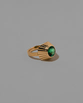 View from the side of the Eternal Life Ring on light color background.