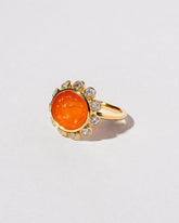 Lepus Ring on light color background.