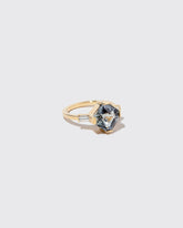 Pewter Ring on light color background.