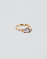 Fixation Ring on light color background.