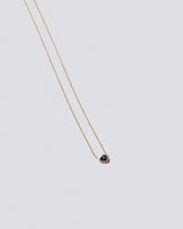 Product photo of Scale Necklace on a light color background