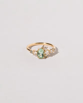 Arbor Ring on light color background.