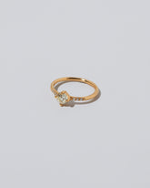 Compass Rose Ring on light colored background.