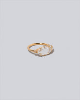 Tend Rings on light color background.