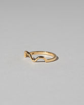 Wiggle Band - Solid on light color background.