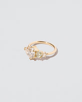 Animism Ring on light color background.