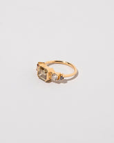 Probus Ring on light color background.