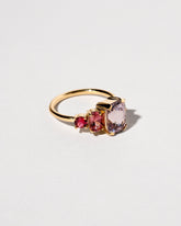 Dianthus Ring on light color background.