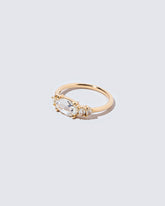 Rosarian Ring on light color background.
