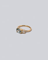 Product photo of Lupine Ring on a light color background