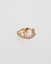 Sparkling Ring on light color background.