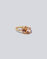 Vega Ring on light colored background.