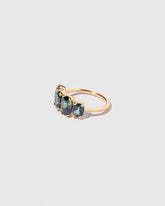 Blink Ring on light color background.