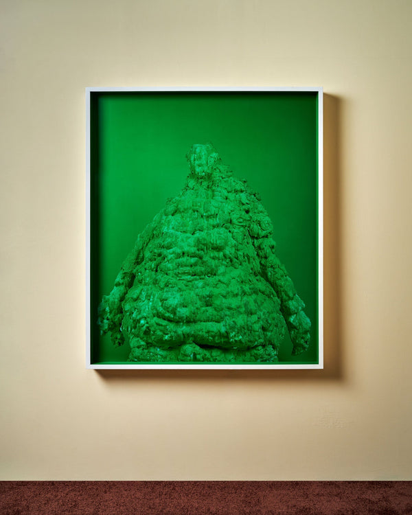 9. "Jade Juiced Emerald Earthquake Foreskin Forest Moss Mold" by David Benjamin Sherry