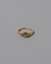 Richness Ring on grey color background.