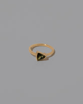 Compassionate Ring on light color background.