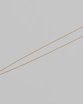 Closeup details of the Collection Chain on light color background.