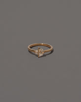 Compatibility Ring on grey color background.