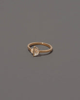 View from the side of the Compatibility Ring on grey color background.