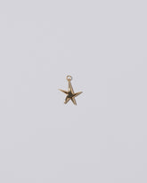 Verve Five Point Star Charm on light color background.