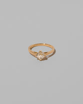 Delight Ring on light color background.