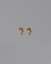 Delphinus Earrings on light color background.