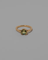 Foundation Ring on light color background.