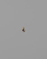 Sapphire Birthstone Level Charm on light color background.