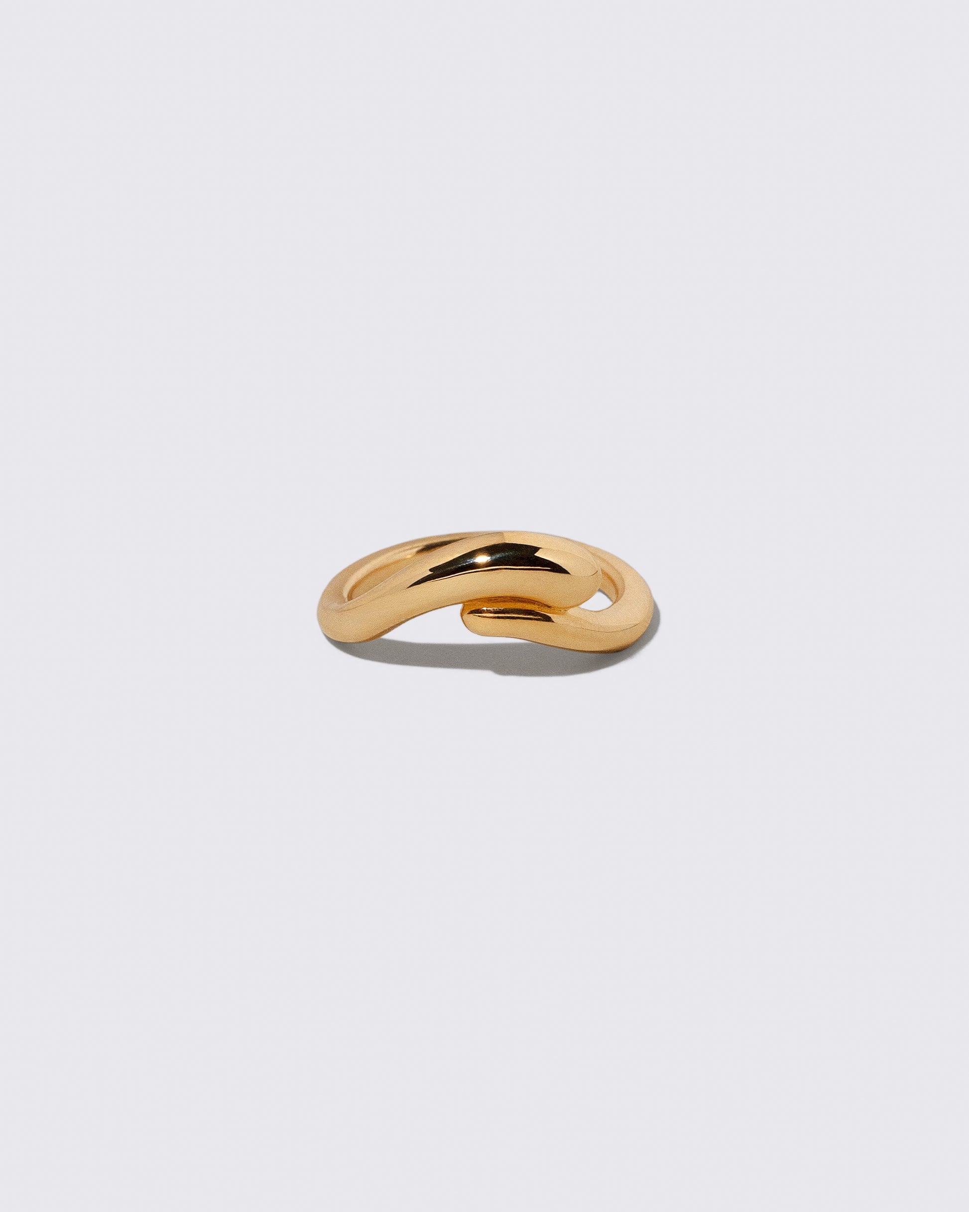 Gold Align Band on light color background.