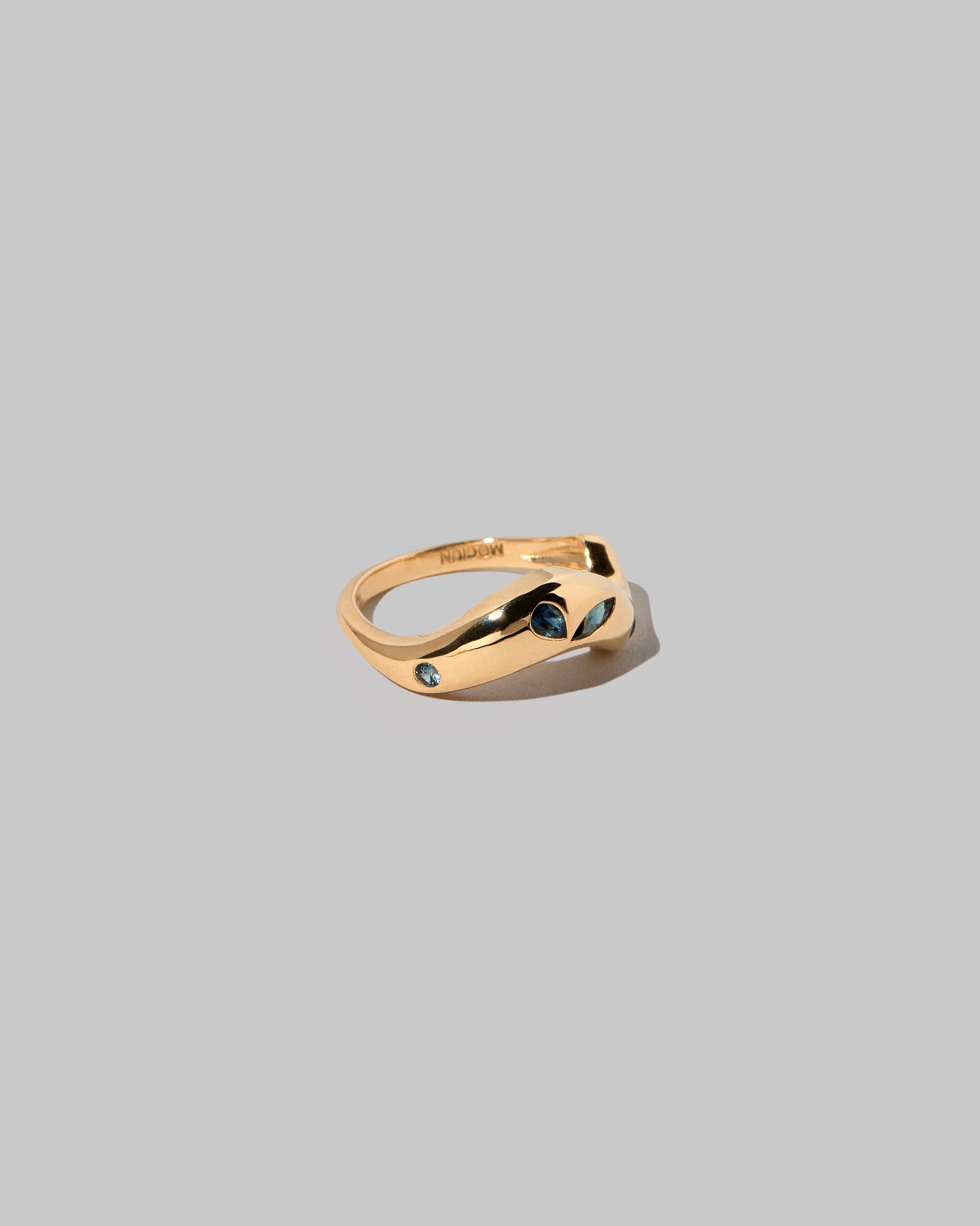 View from the side of the Sapphire Bell Band on light color background.