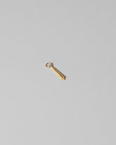 Joint Charm on light color background.