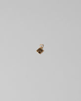 Saltine Cracker Charm on light color background.