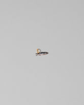 Sardine Charm on light color background.