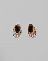 Lycaste Earrings on light color background