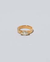 Positivism Ring on light color background.