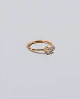 Compass Rose Ring on light color background.