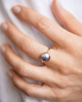 Gold Albert Ring on model.