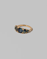 View from the side of the Delphinium Ring on light color background.
