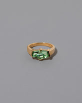 Regeneration Ring on light color background.