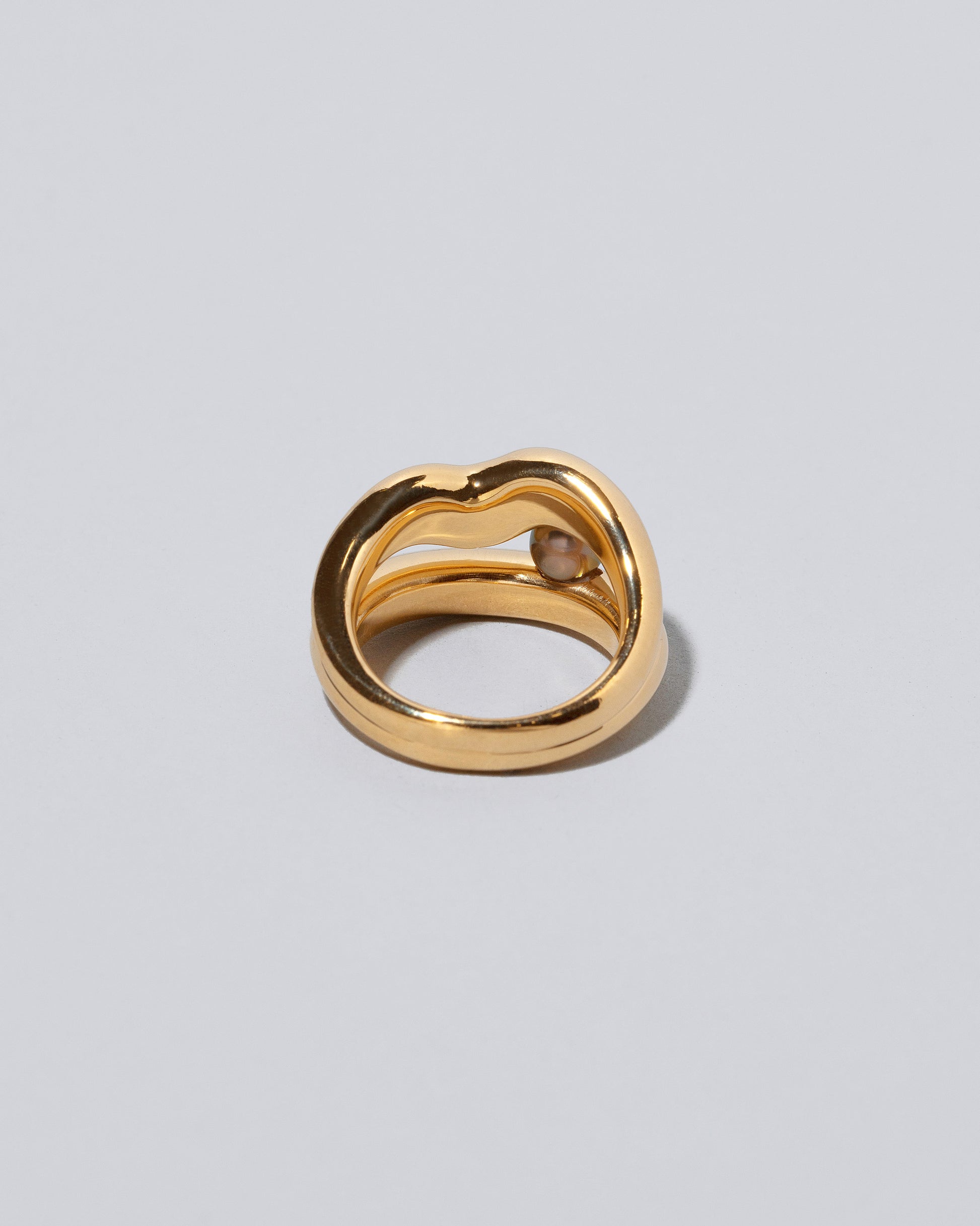 View from the back of the Ocean of Unity Ring on light color background.