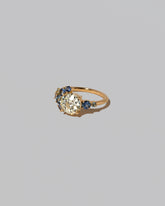 View from the side of the Diamond & Sapphire Vega Ring on light color background.