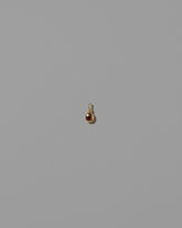 Garnet Birthstone Level Charm on light color background.