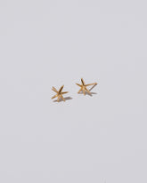 Shape Two Small Verve Six Point Star Stud Earrings on light color background.