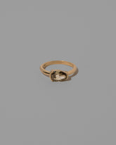 Warmth Ring on light color background.
