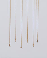 Group of Ankh, Star, Twist, Tear, Hand and Snake Talisman Pendant Necklaces on light color background.