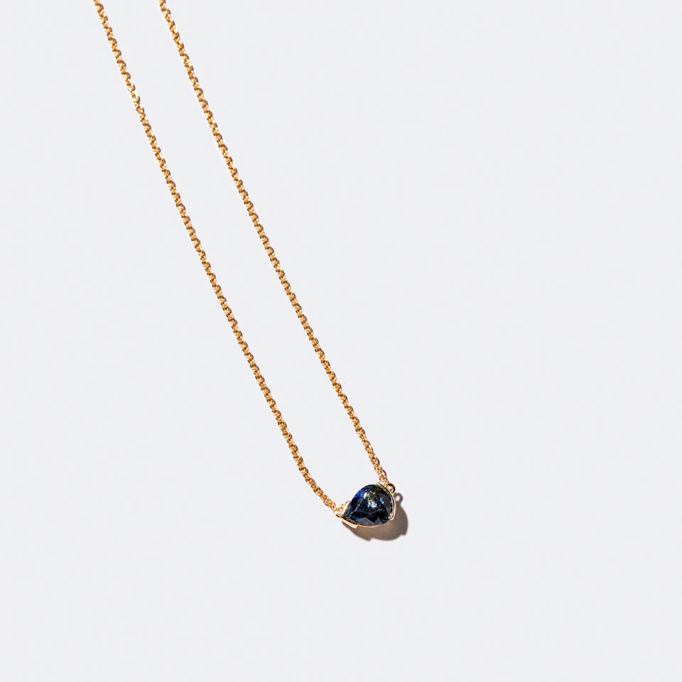 product_details:: Product photo of Scale Necklace on a light color background 